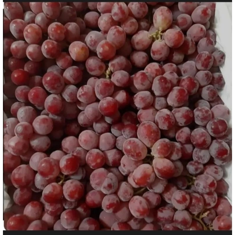 

Buah Anggur Australia