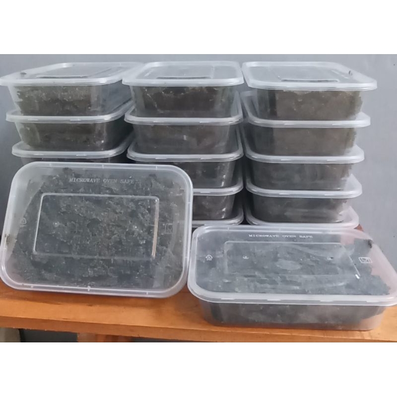 

Patahan Nori