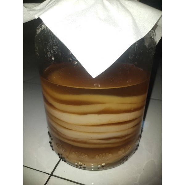 

READY SCOBY JAMUR KOMBUCHA DIAMETER 9CM DAN 14CM