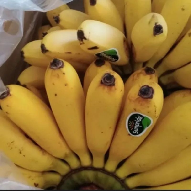 

Pisang mas per sisir