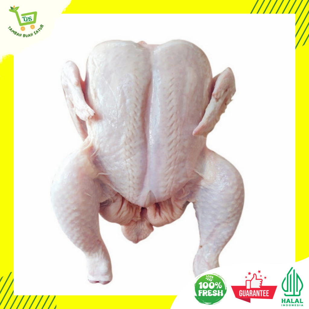 

AYAM BROILER | AYAM FRESH (KHUSUS SAMEDAY DAN INSTAN)