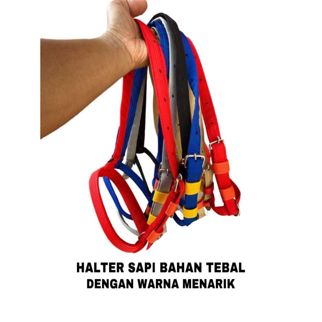 [COD] TALI MULUT SAPI ,KAMBING / BRANGUS SAPI / BRACOK / IKAT KEPALA SAPI / BRONGSONG / TALI SAPI / 