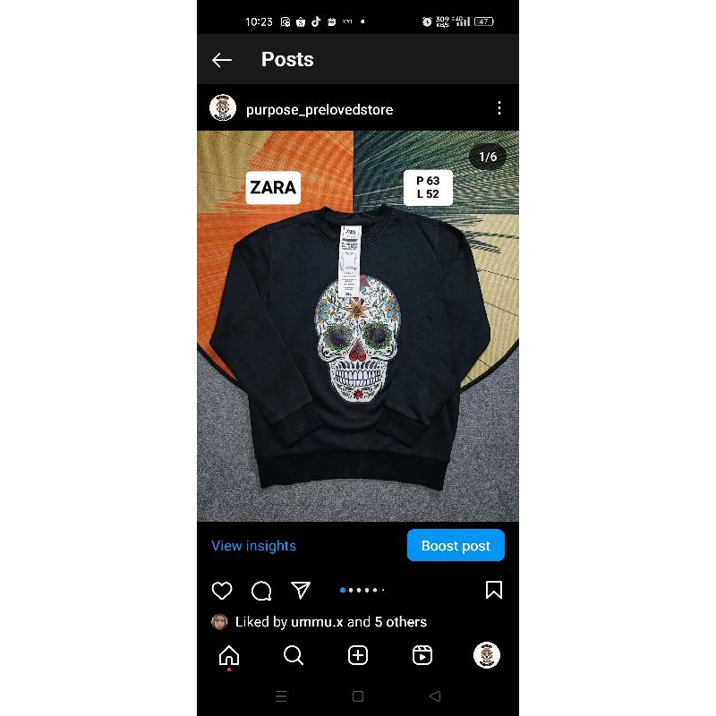 zara crewneck skull