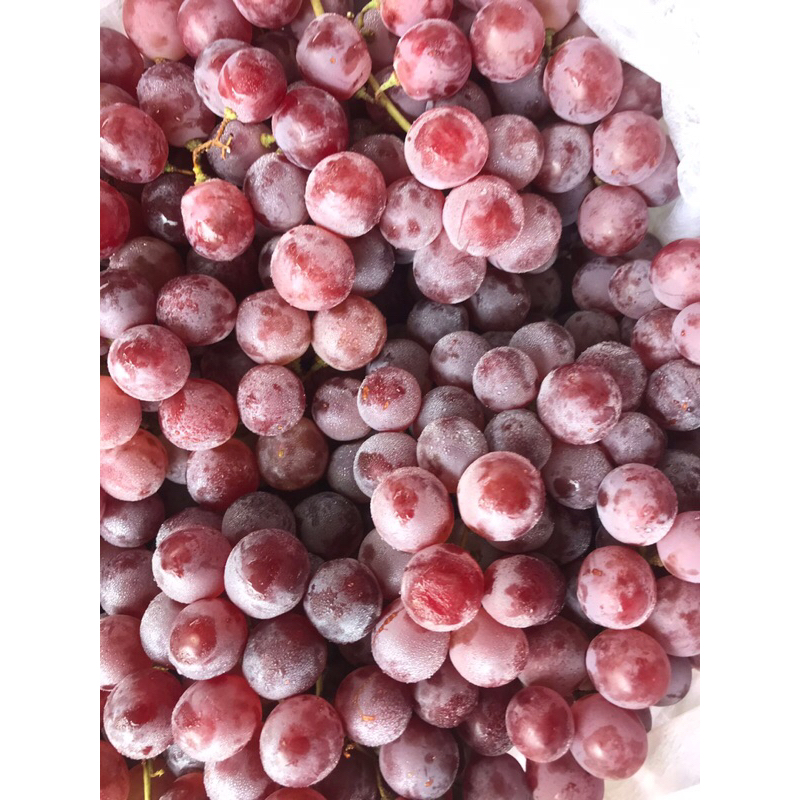

Buah Anggur