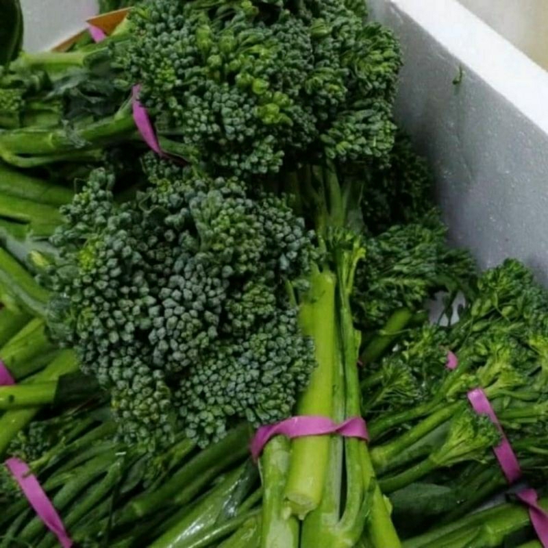 

Brocolini - Broccolini import 200gr