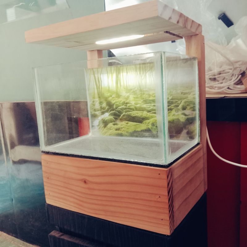 Meja aquarium minimalis // kabinet aquarium // lemari aquarium // lemari akuarium // cabinet aquarium