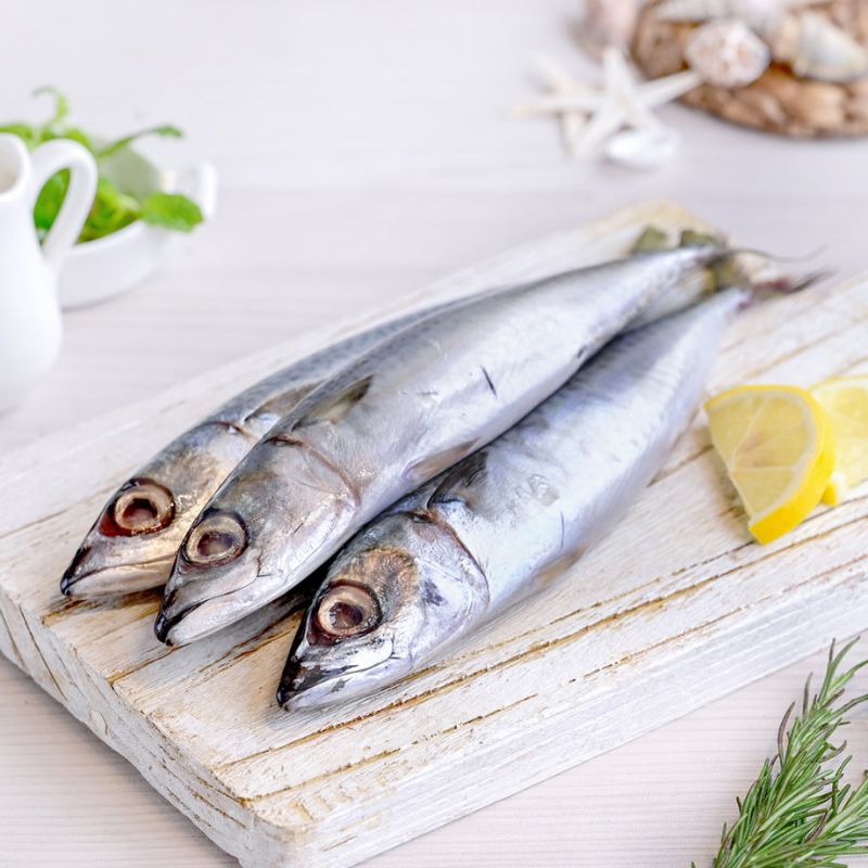 

Ikan Salem Fresh Ikan Salem Utuh 1Kg Hasil Laut Segar