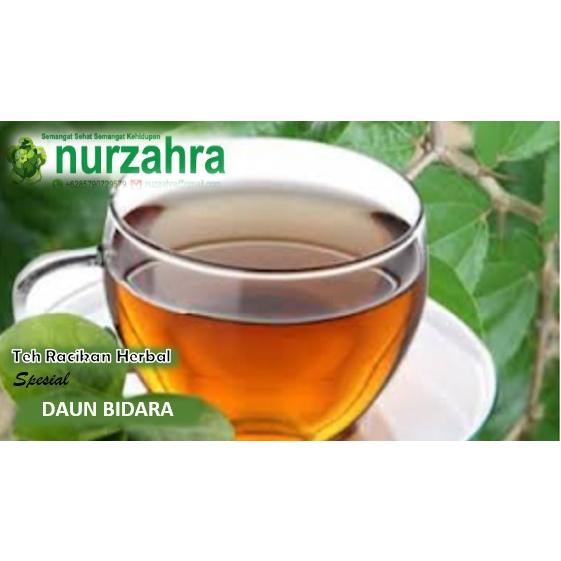 

Teh Racikan Herbal Daun Bidara