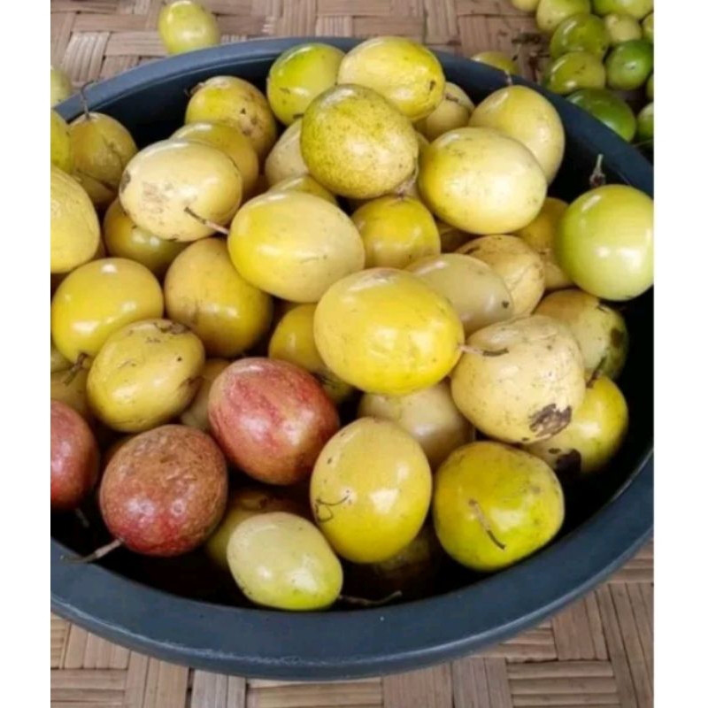 

termurah buah markisa kuning fresh