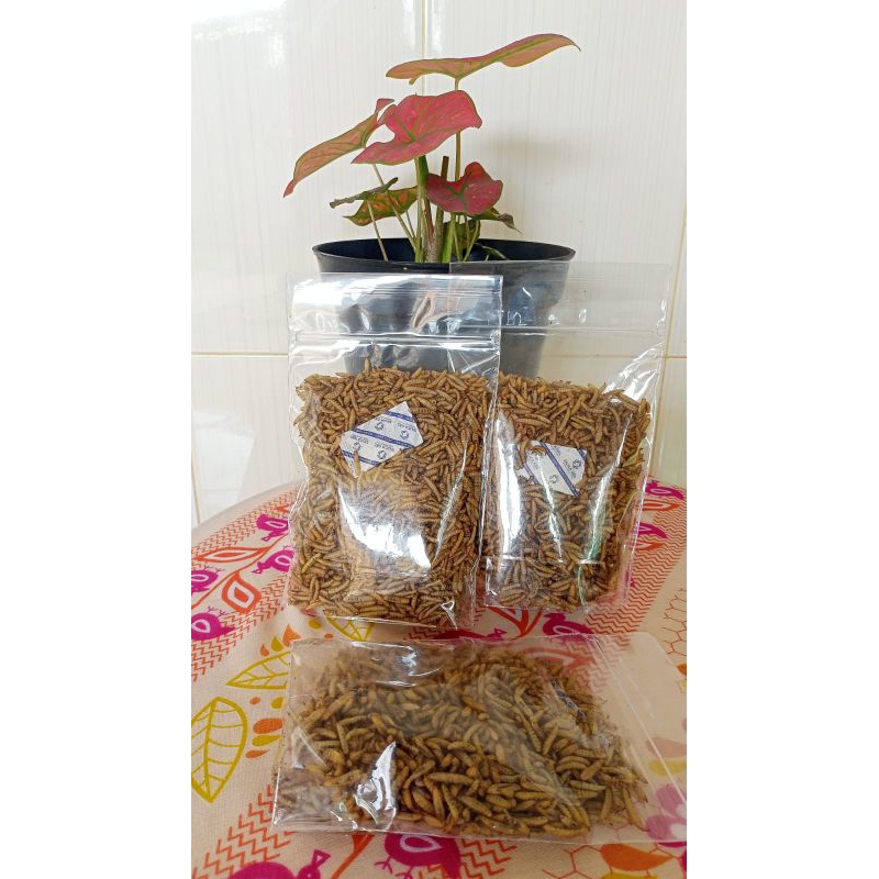 MAGGOT KERING (100 GRAM), DRIED MAGGOT, DRY MAGGOT. LARVA BSF KERING
