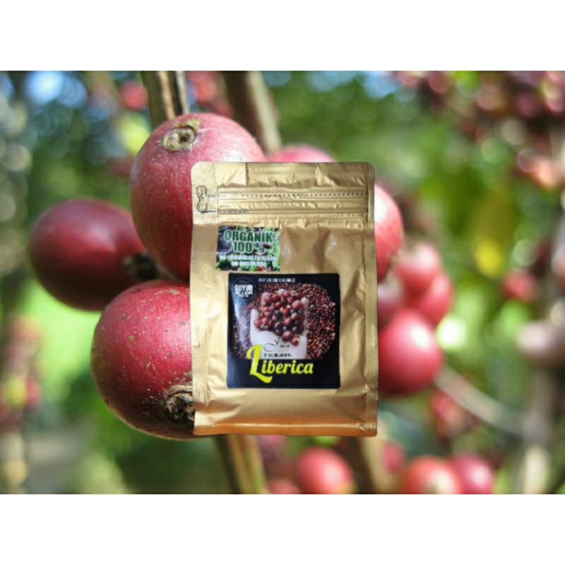 

Kopi Premium Petik Merah, Organik tanpa pestisida kemasan 250gram. ROBUSTA, LIBERICA, EXCELSA, ARABICA