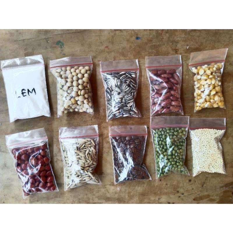 Paket biji bijian + LEM untuk kolase