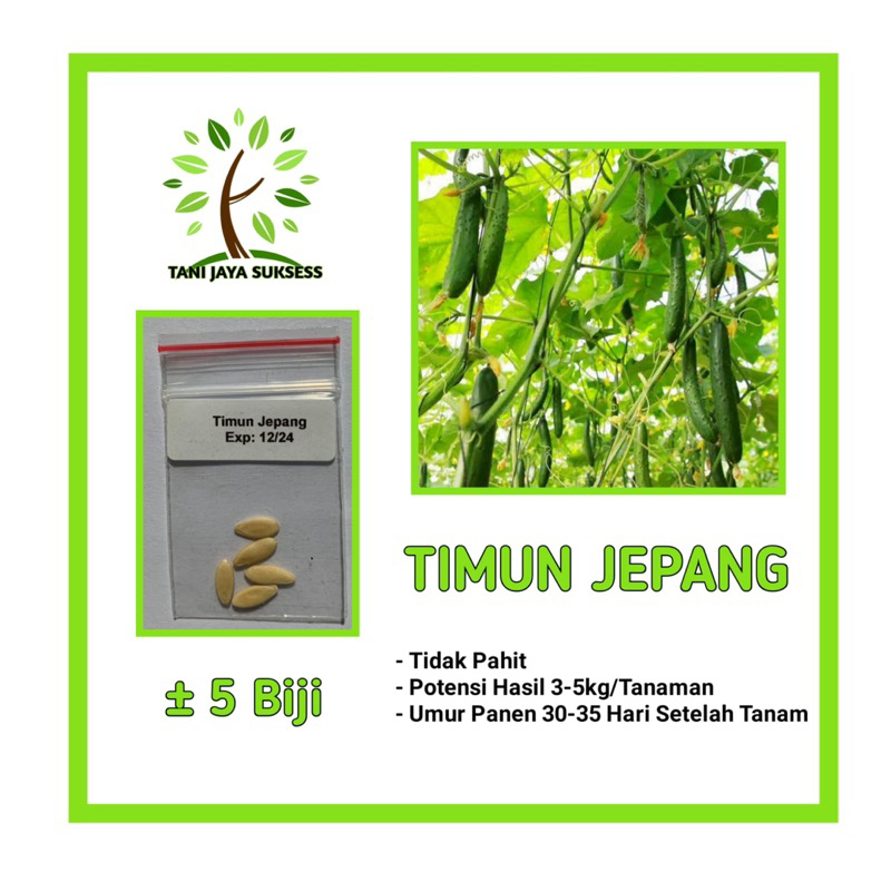 4 Benih Timun Jepang Benih Timun Jepang Unggul Berkualitas Bibit Timun Jepang Bibit Sayuran