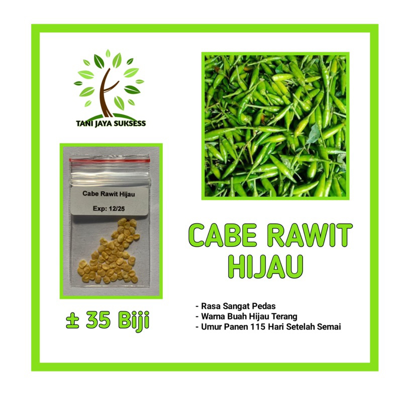 35 Benih Cabai Rawit Hijau Benih Cabai Rawit Hijau Unggul Berkualitas Bibit Cabai Rawit Hijau Bibit 