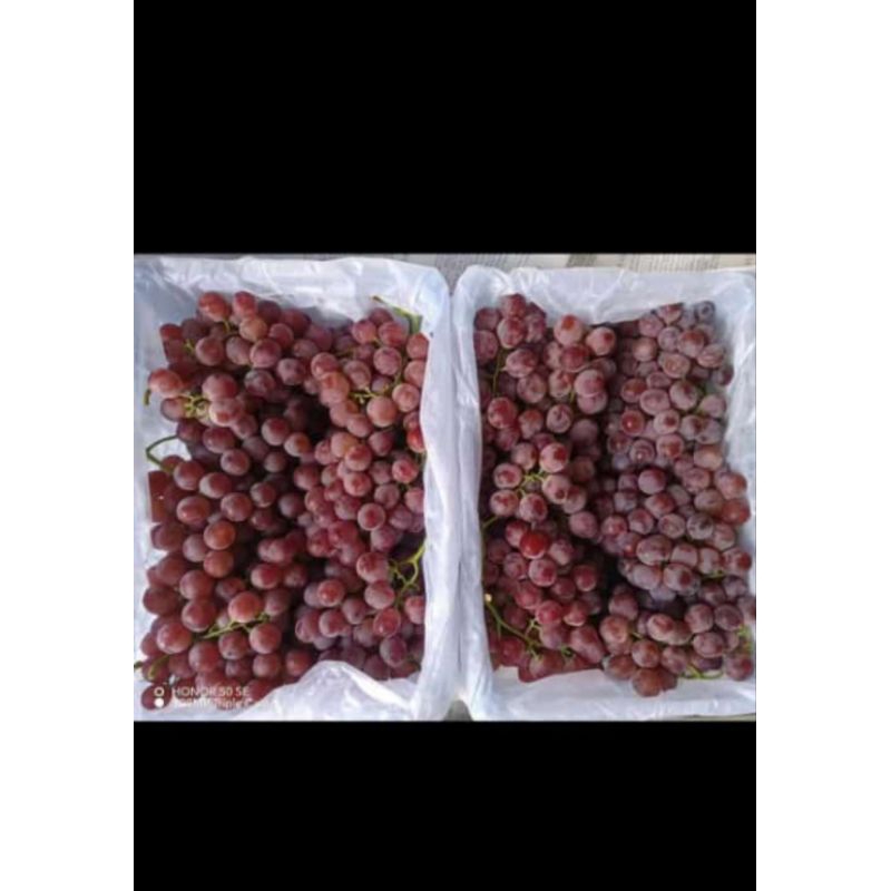 

Anggur segar manis 500gr