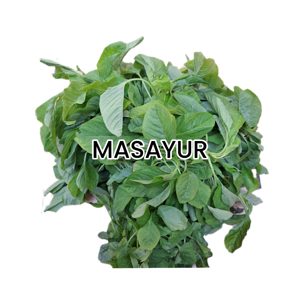 

Bayam per ikat Kurleb 750 g