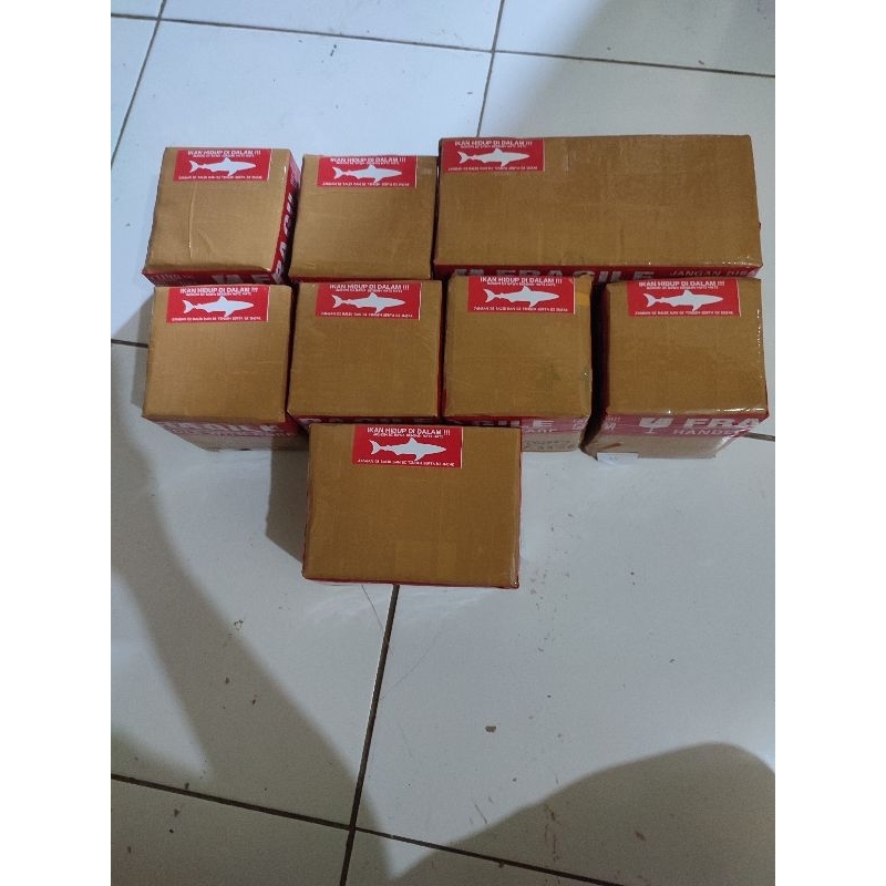 Box packingan ikan cupang