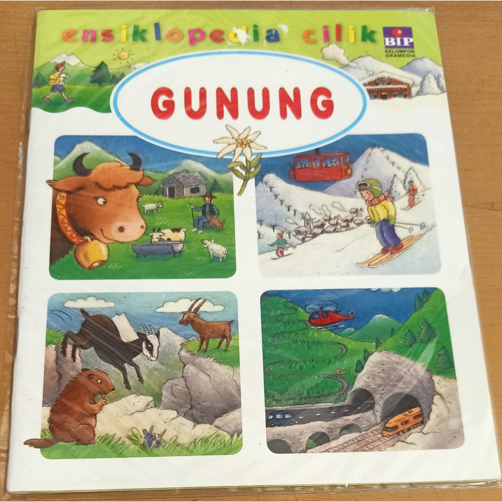 Ensiklopedia Cilik : Gunung
