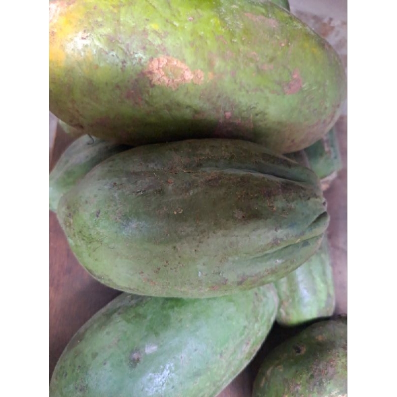 

Pepaya Muda atau Gandol 500gram