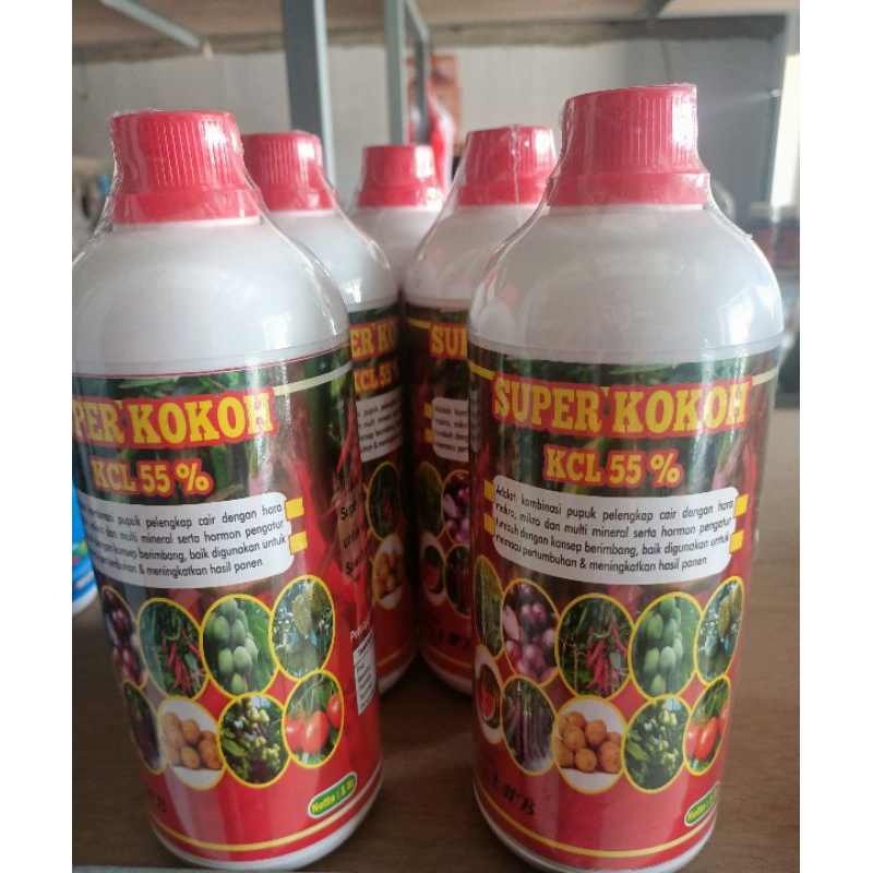 Pupuk || KCL Cair Super Kokoh