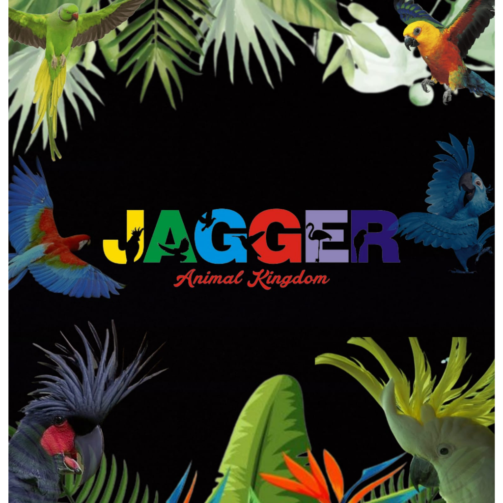 WRT TANGKRINGAN BURUNG KANDANG SOLITER KAYU KOPI KURUNG KOTAK LOVEBIRD FALK SUNCUNURE UANA TUPAI