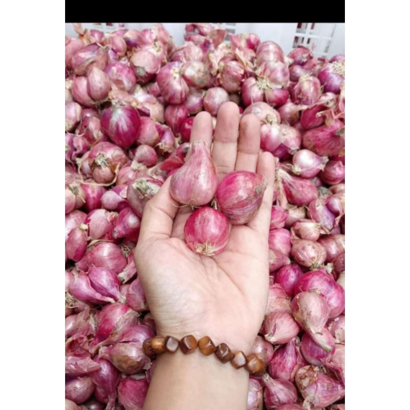 

Bawang merah brebes 1 kg