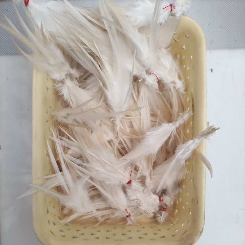 bulu ekor ayam/umpan rawe/sabiki