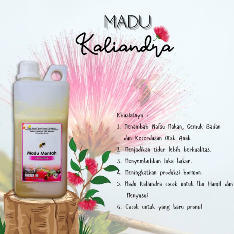

Madu Mentah Nektar Kaliandra 100% - Madu Murni Asli Ternak 1kg - Madu Mentah Original tanpa Campuran