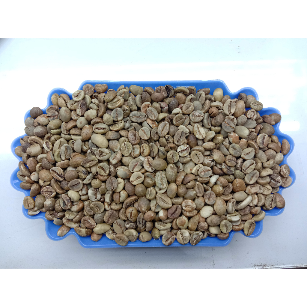 ELB 350 GRADE 2 / ROBUSTA GREEN BEAN / BIJI KOPI MENTAH ROBUSTA LAMPUNG - 1 KG