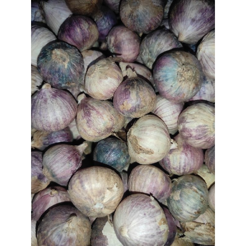 

600 gram bawang putih tunggal