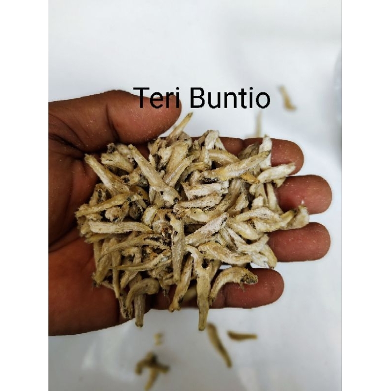 

Teri Buntio Cantik dan Segar