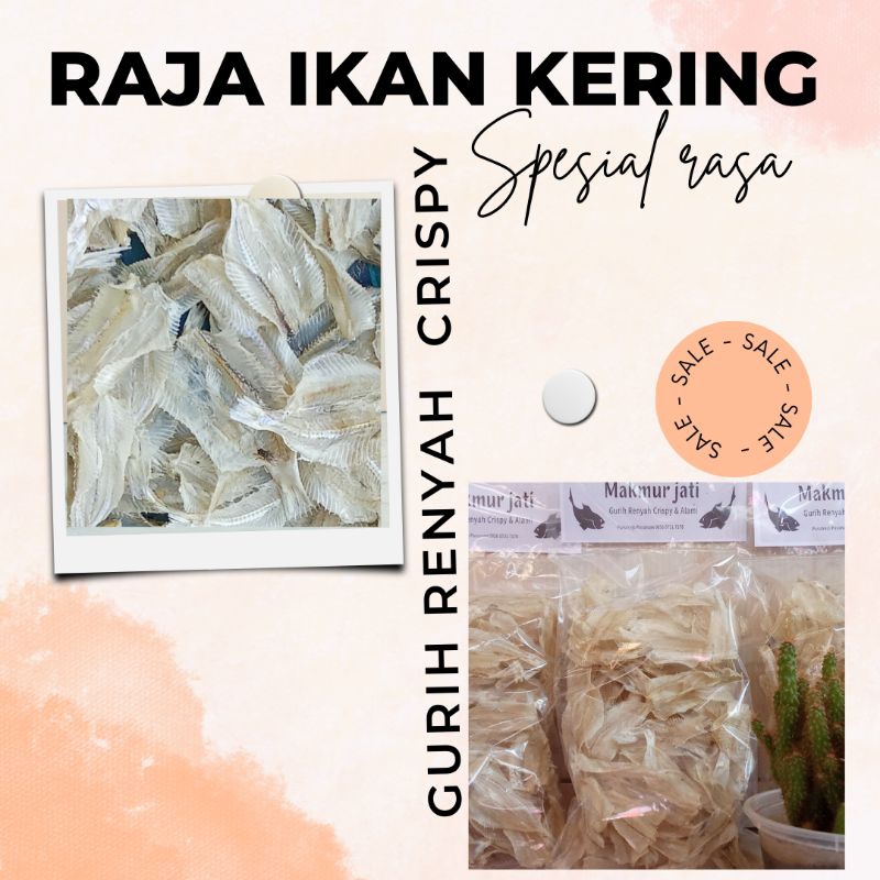 

Ikan Kalapan / Ikan Trasak / ikan Pakang / ikan Bulu Ayam Kualitas Super