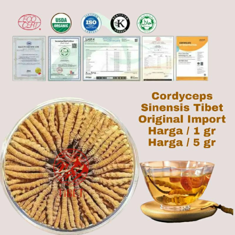 

cordyceps sinensis tibet premium original import