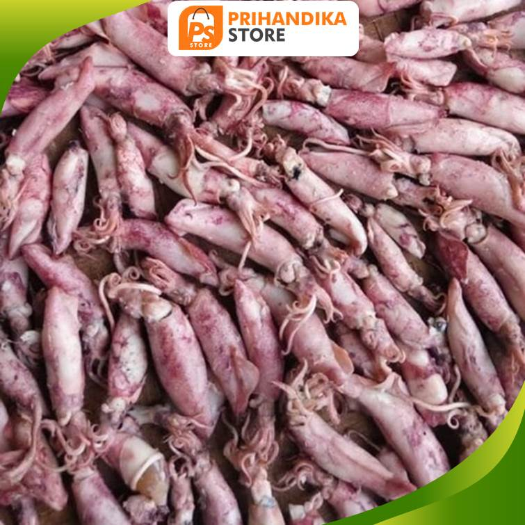 

Cumi Asin 1kg Kualitas Super Premium