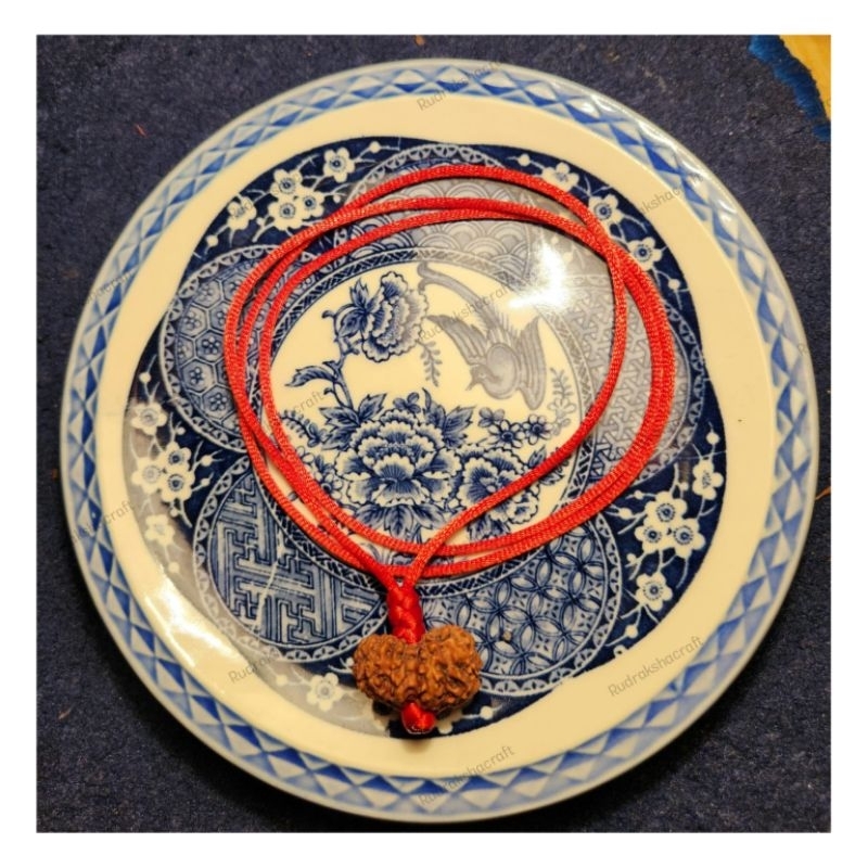 Kalung Rudraksha Mukhi 11