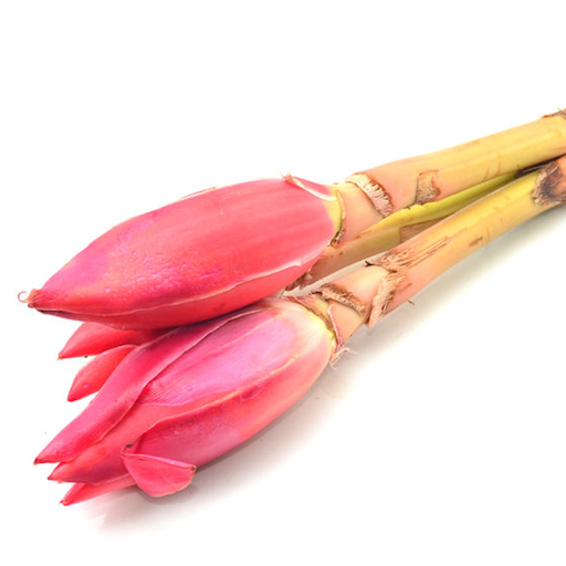 

kecombrang / honje 1 pcs