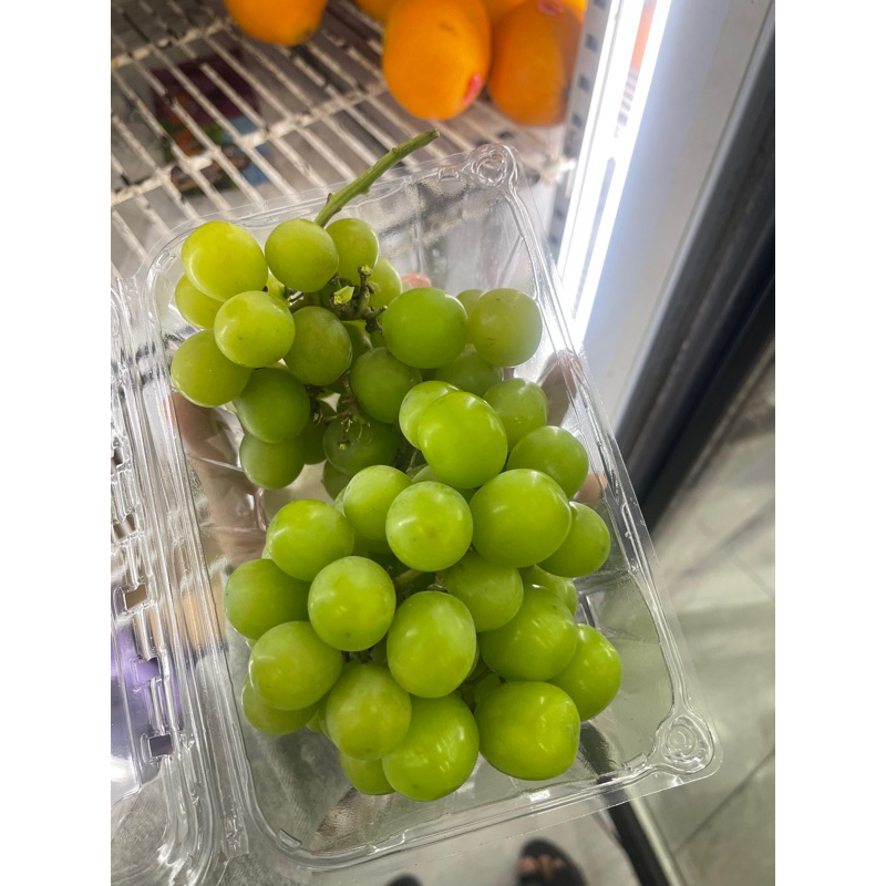 

ANGGUR SHINE MUSCAT CURAH