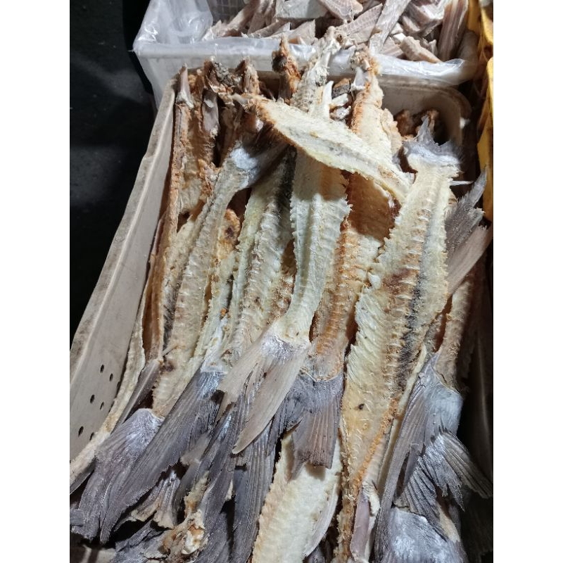 

tulang jambal/cucuk jamal