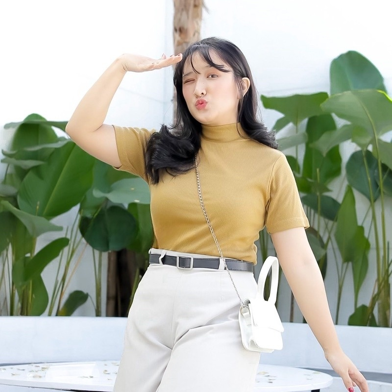turtleneck lengan pendek wanita/turtleneck viral korea/Turtleneck RIB Lengan Pendek/ Kaos Turtleneck