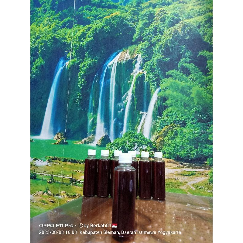 

250ml Madu Asli Klanceng Murni Fresh 100% kelulut trigona