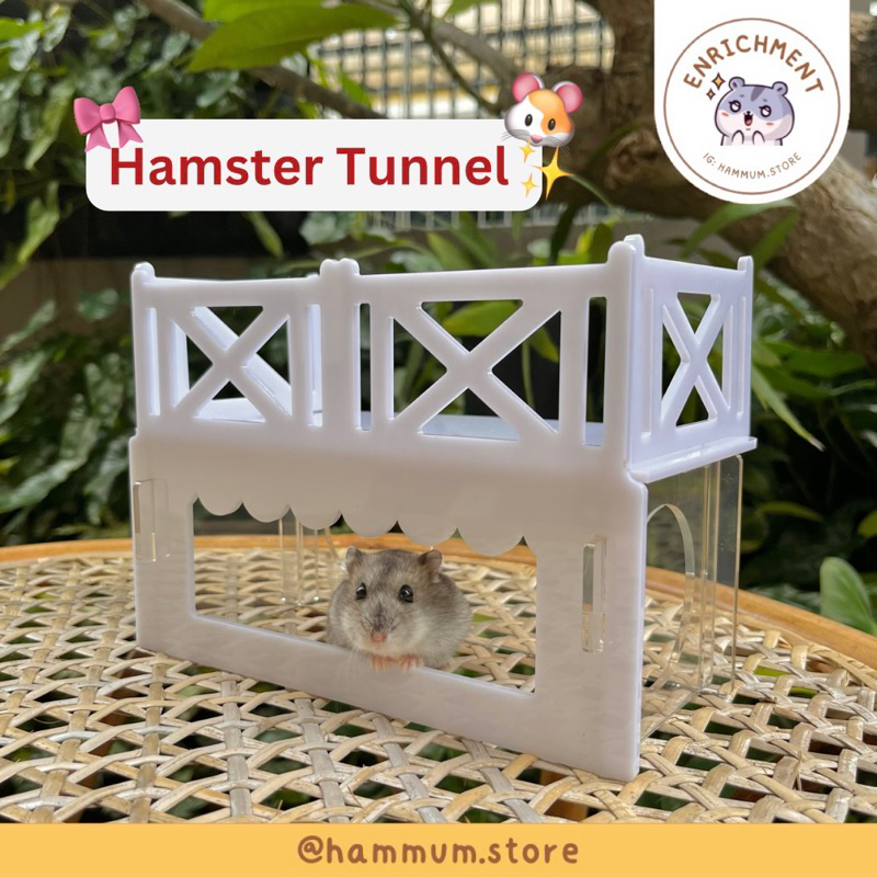 Terowongan Hamster Akrilik A19 | Platform Hamster Akrilik | Rumah Hamster Tunnel Akrilik | Hideout H