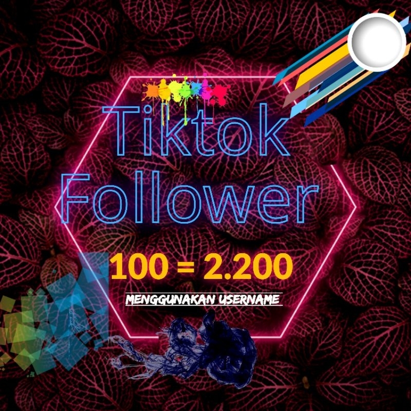 

tiktokk follower