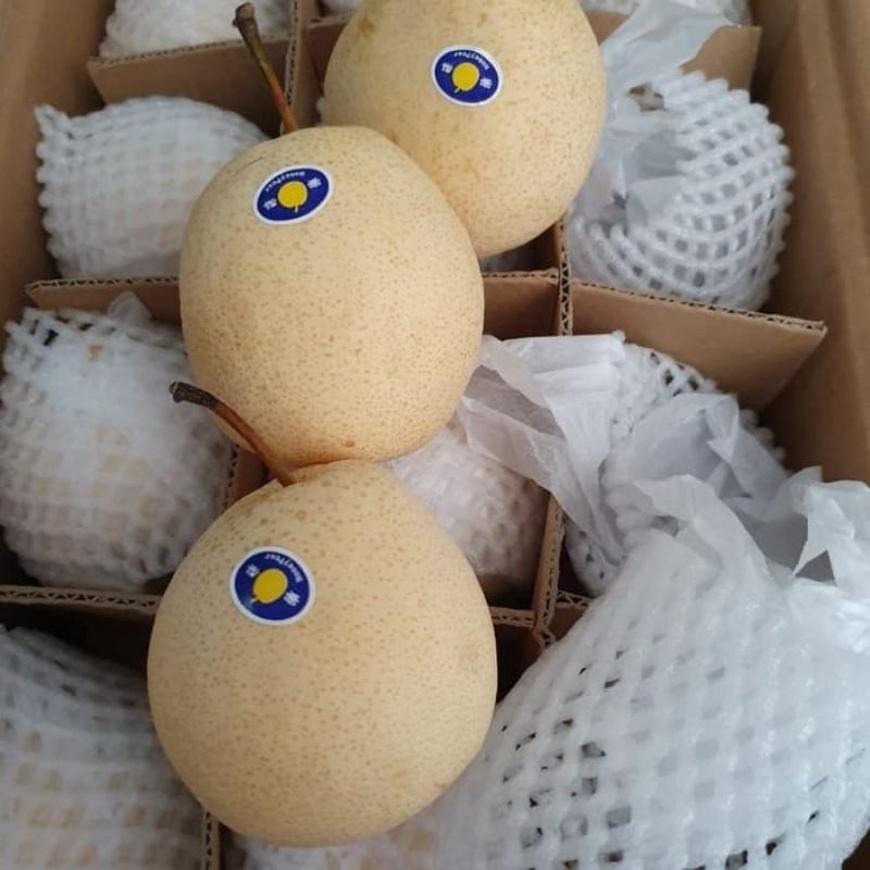 

Buah Pear Century manis renyah