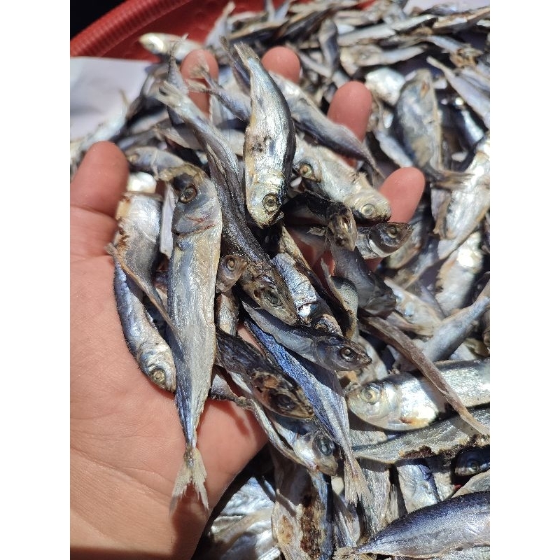 

Ikan Tamban Besar 8-10 cm