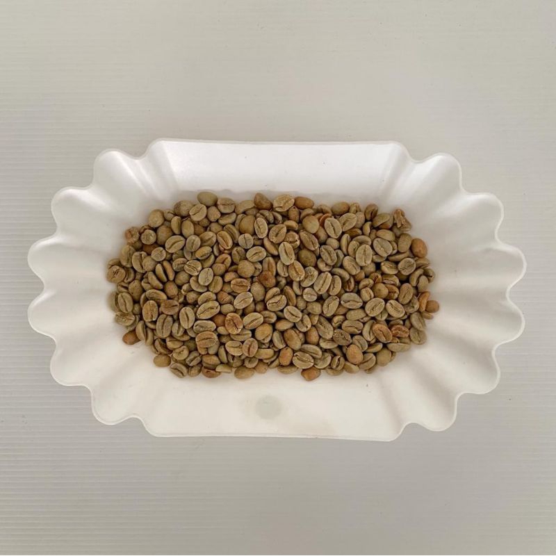

Biji Kopi - Colombian Exotic Coffee Speciality Plus - Hacienda Mallorca Yellow Bourbon - Anaerobic Natural