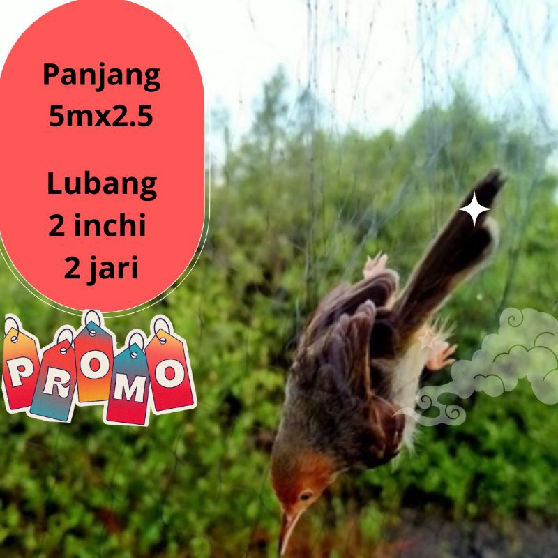 Jaring burung kecil jaring senar hitam  jaring burung kecil lubang 2 jari lebar ±2 m jaring burung p