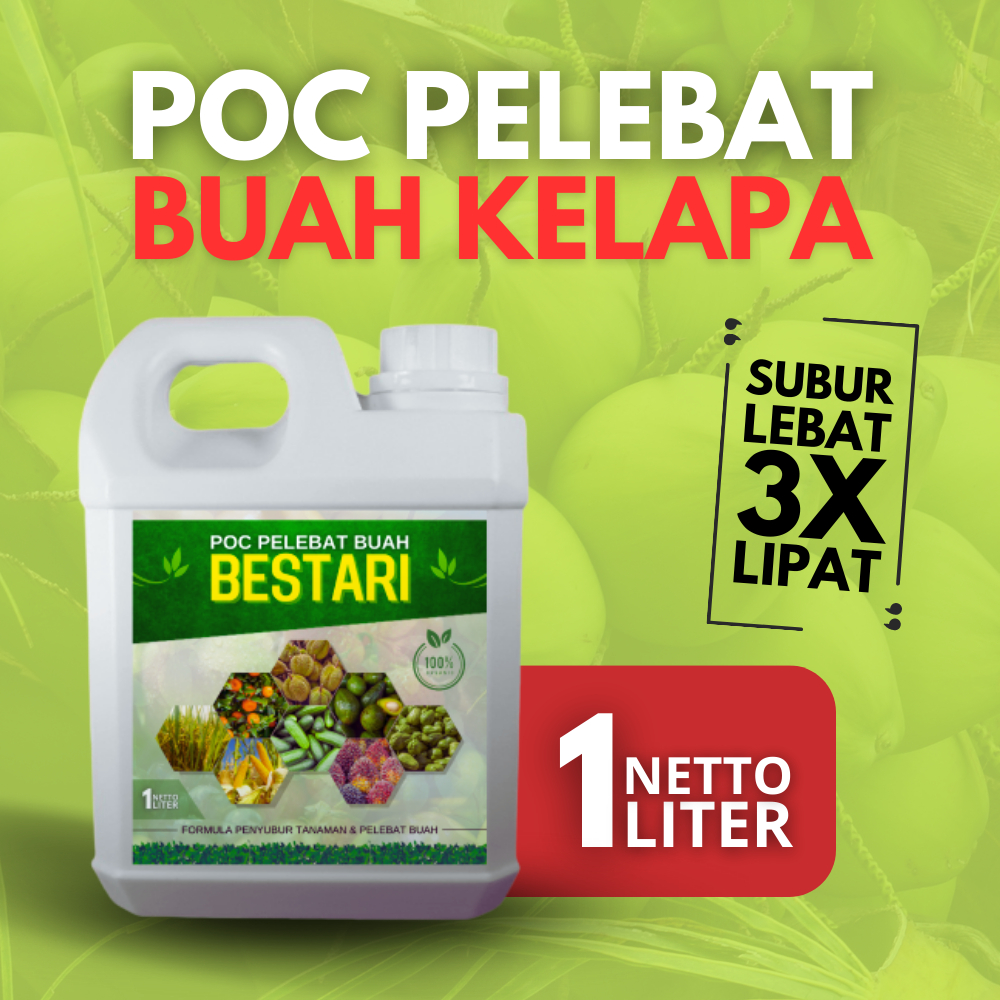 Pupuk Buah Kelapa / Pupuk Perangsang Akar Bonsai Kelapa / Pupuk Perangsang Buah Kelapa / Perangsang 