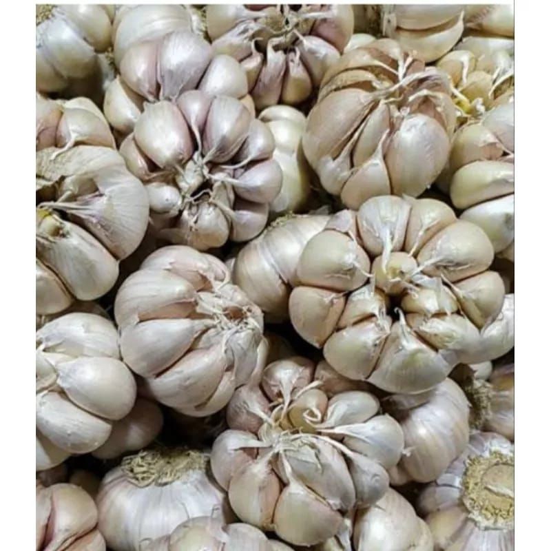

BAWANG PUTIH LOKAL 1 KG