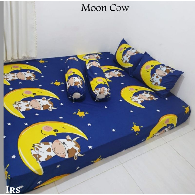 SPREI RESLETING 160*200*20