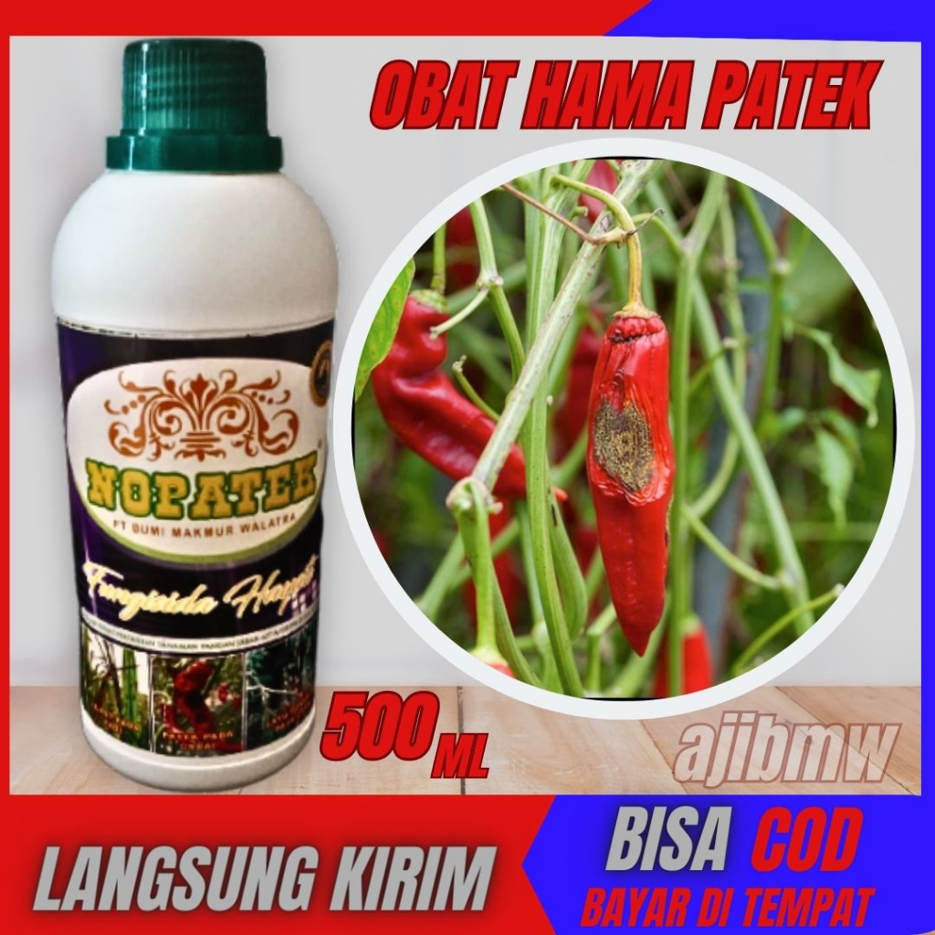 Nopatek Fungisida Hayati Obat Hama Penyakit Patek pada Cabe, Cabai Rawit dan Tanaman Lainnya